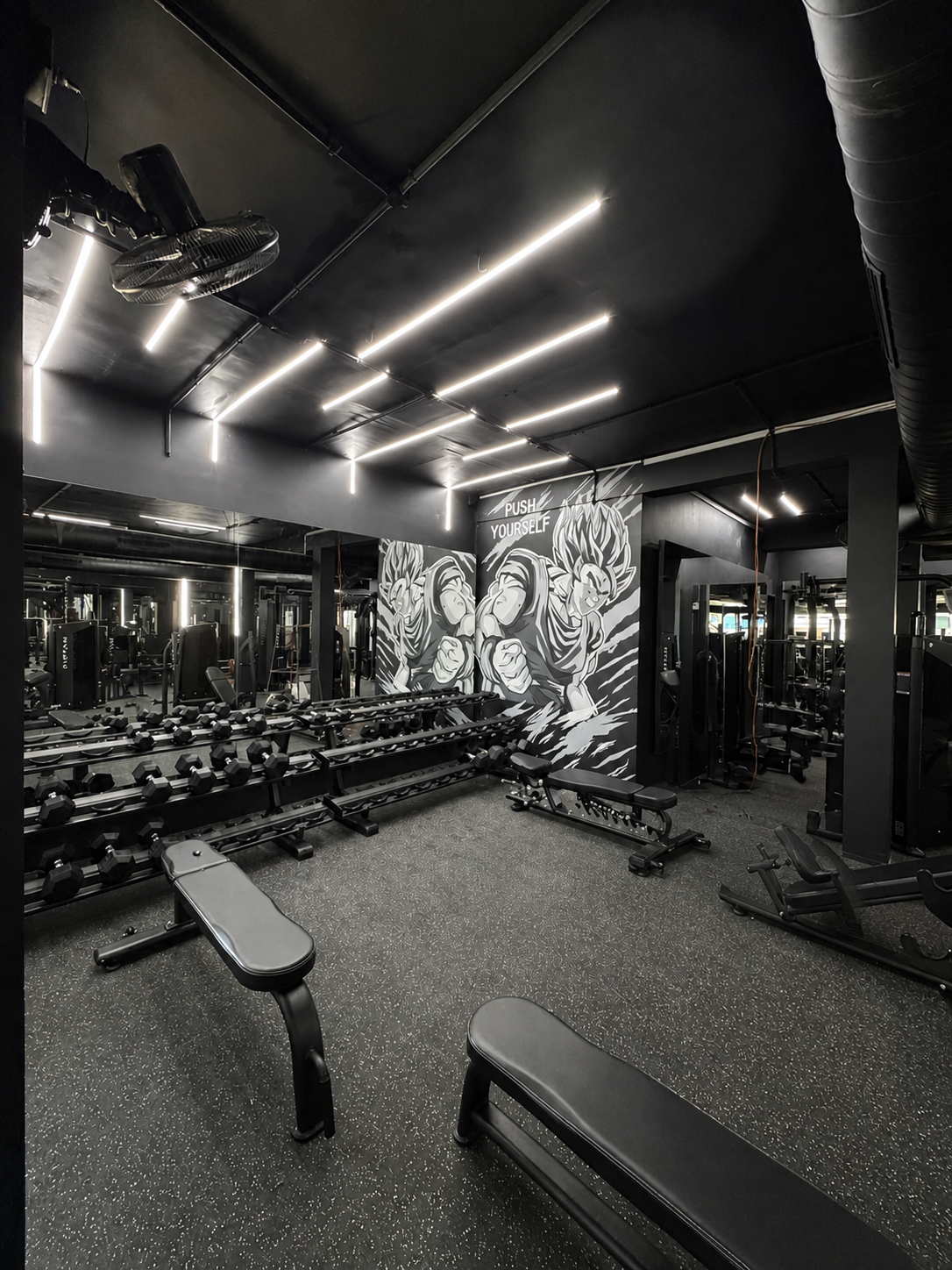 Gym interior in Hyderabad 5