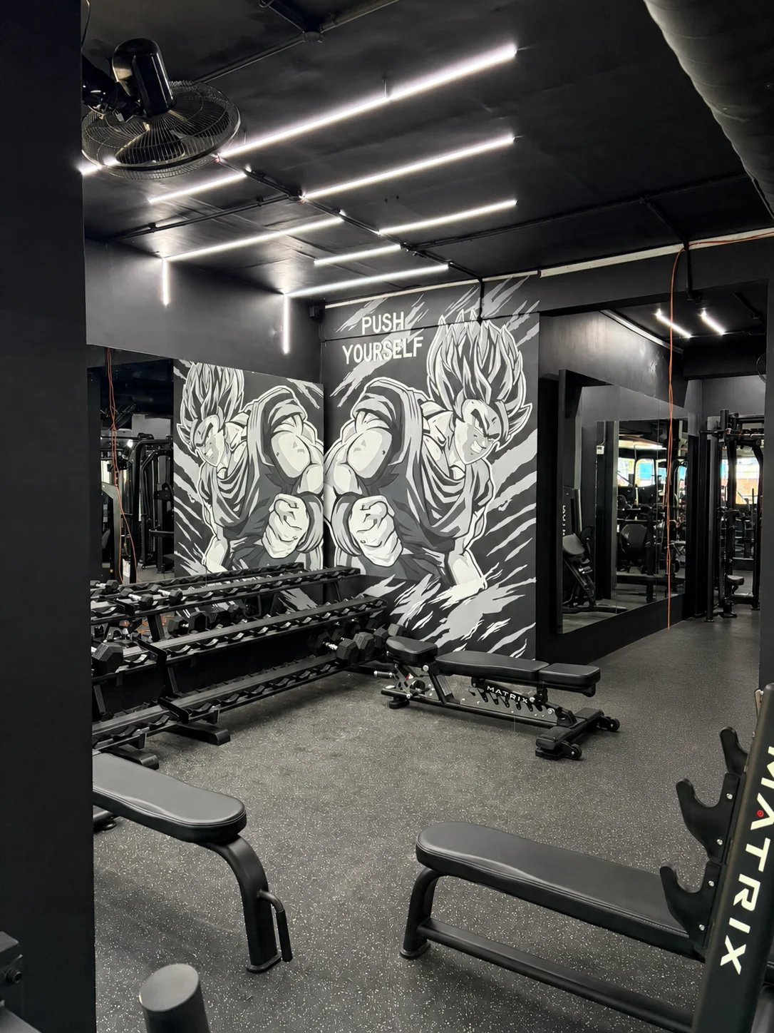 Gyms interior by Simfy Re'Live